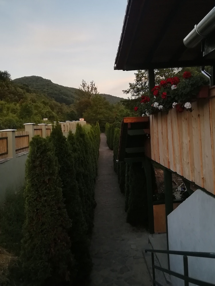 Photo 43