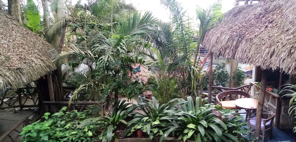 Photo 26