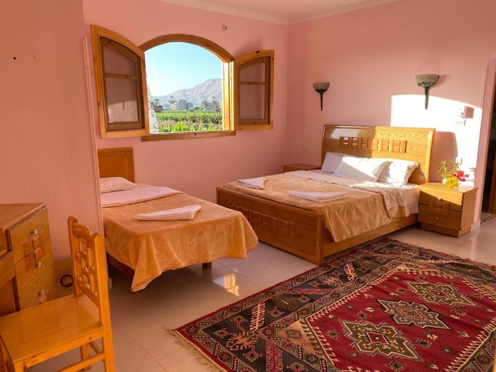Elsanosy Family Guest House - Luxor view 3