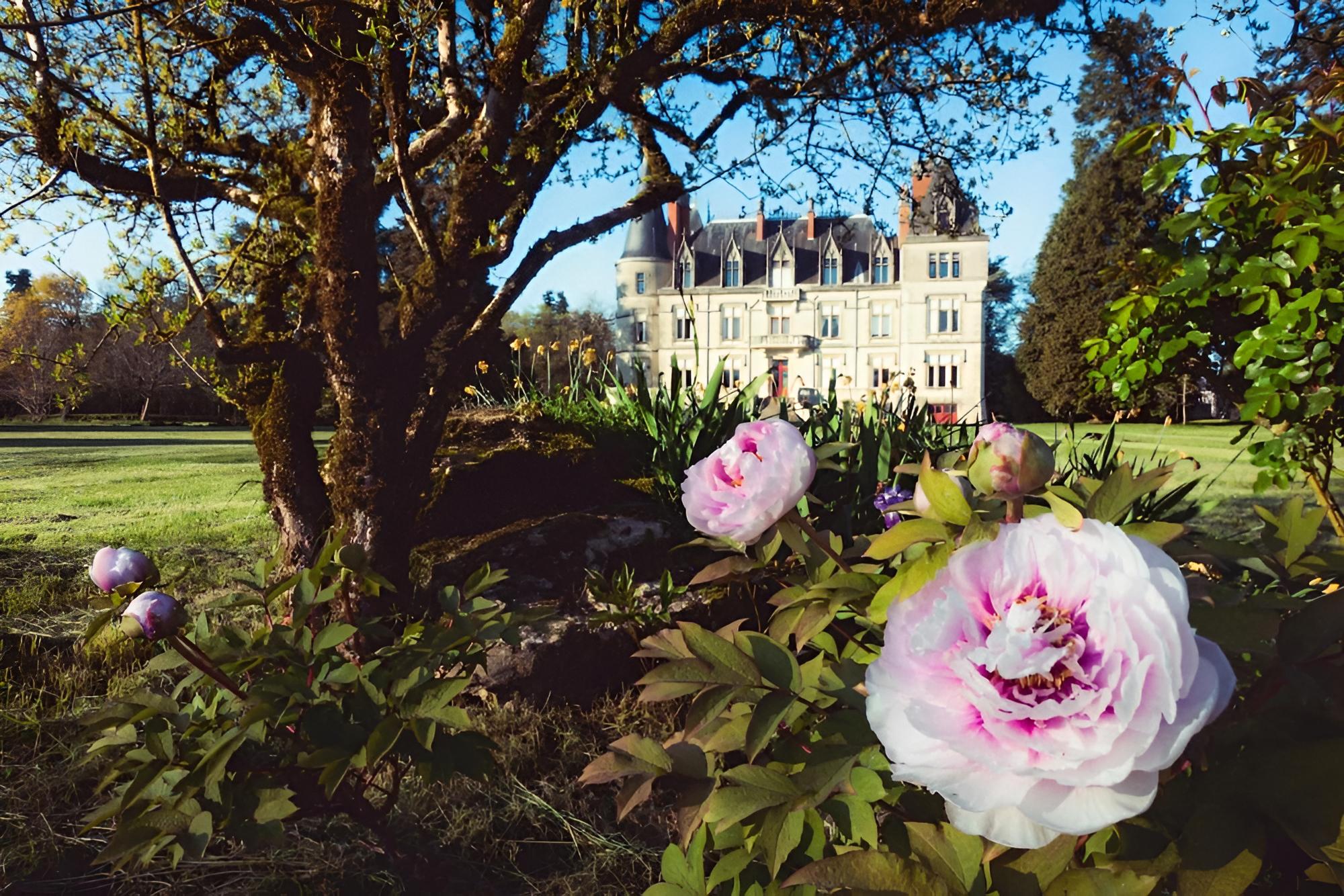 Château de Boisrenault