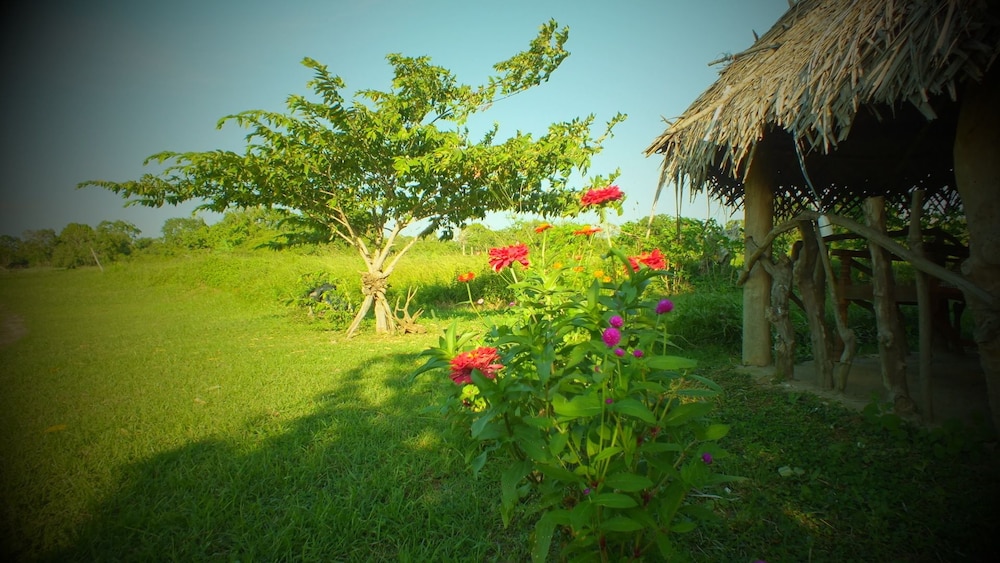 Jungle House Yala