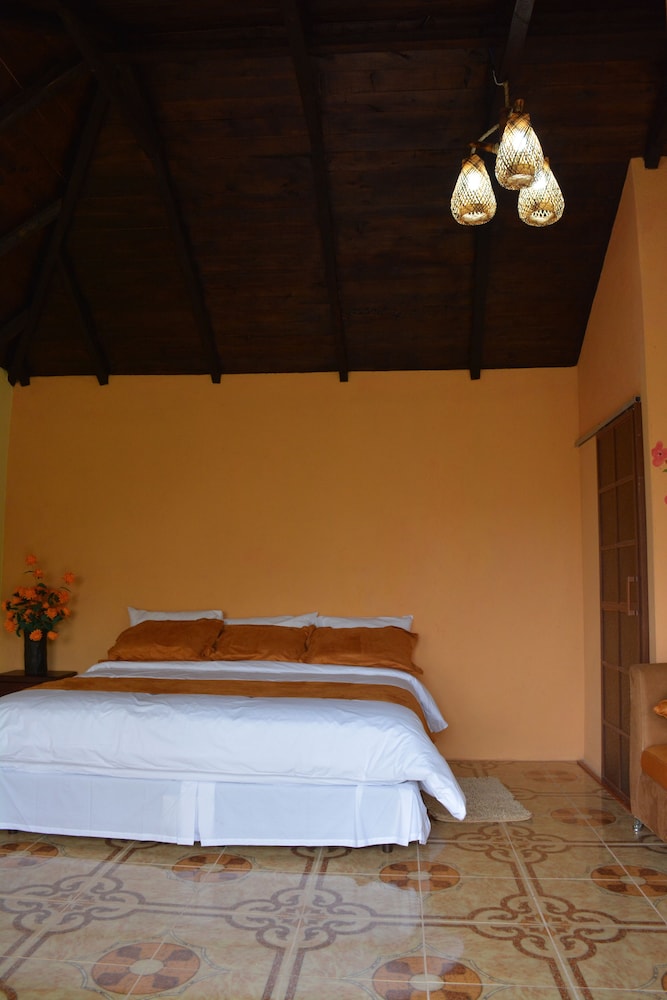 Rutun Orquídeas