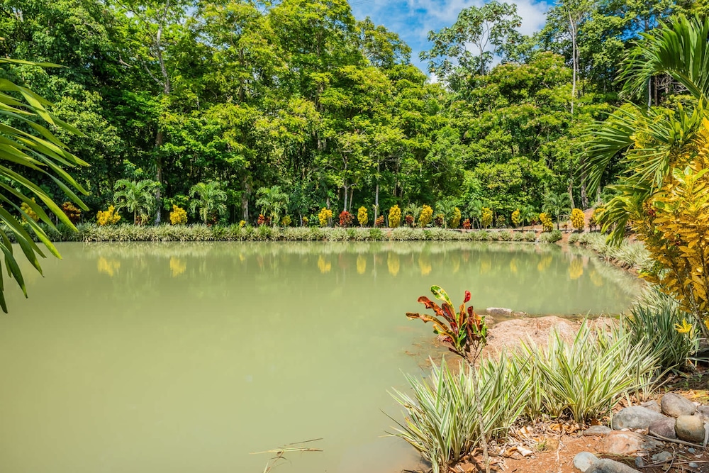 Nayari Frog Farmstay Villa La Fortuna