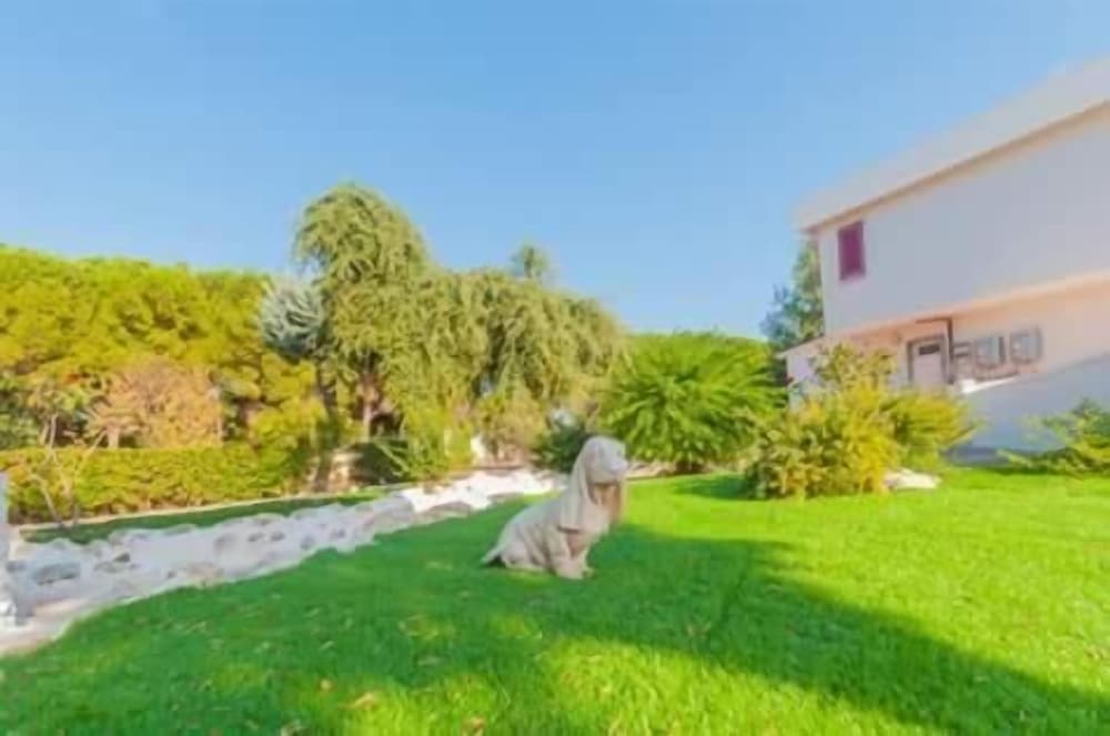 Paradise B&B