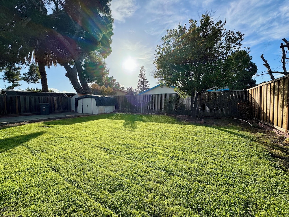 Sunnyvale 3B2b Super Big House