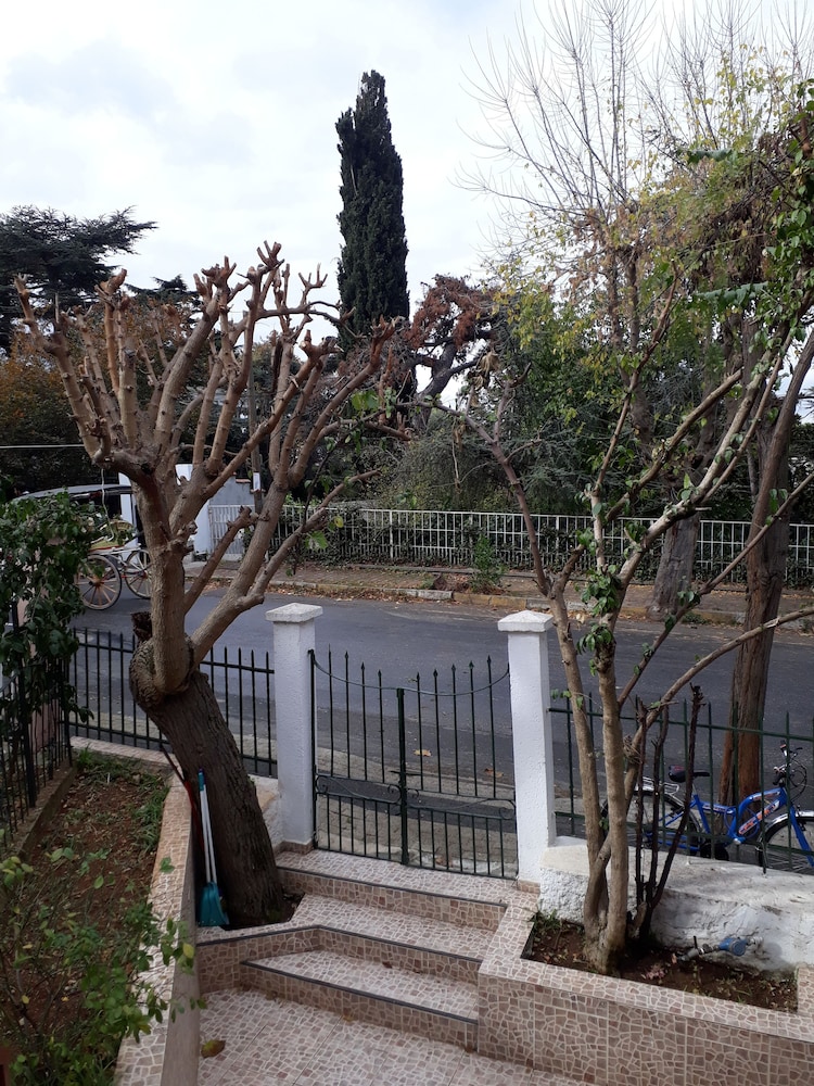 Orhan Kutbay'in Evi Turyolu Cafe Pansiyon