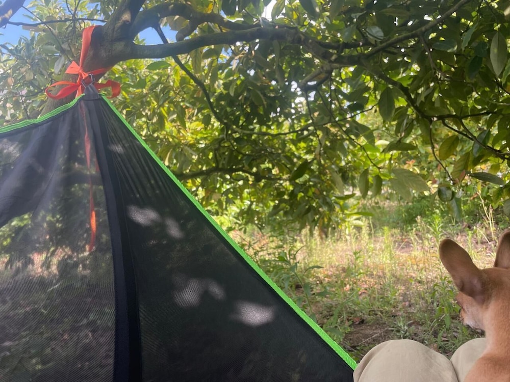 El Alba Descanso