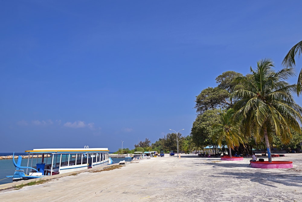 Asaa View