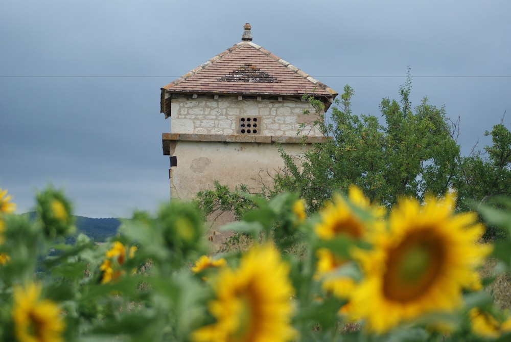 Domaine Les Miquels