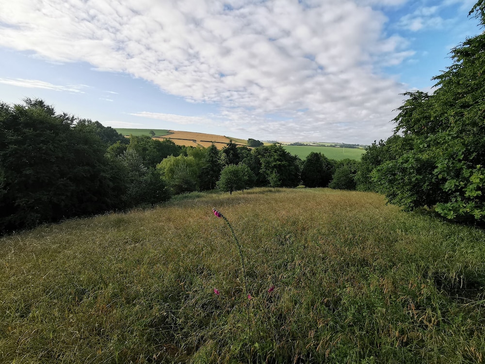 Narracott Down