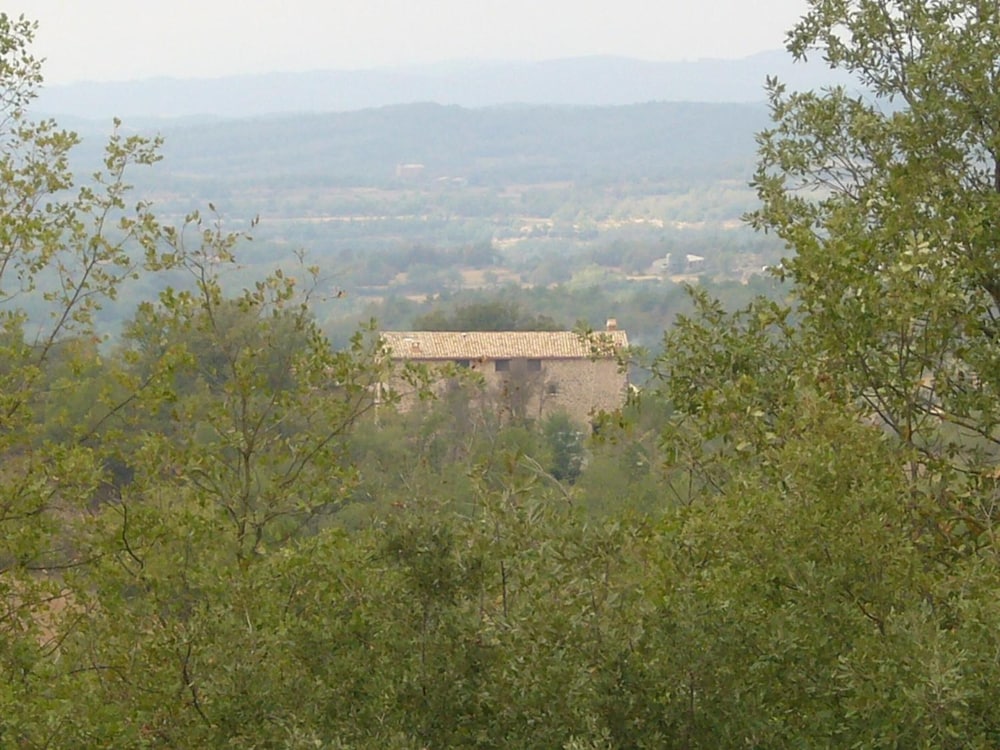 Photo 24