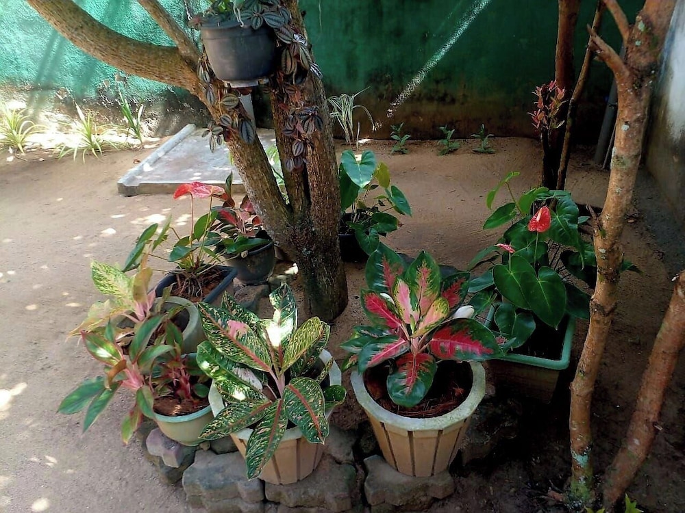 Amible guest home
