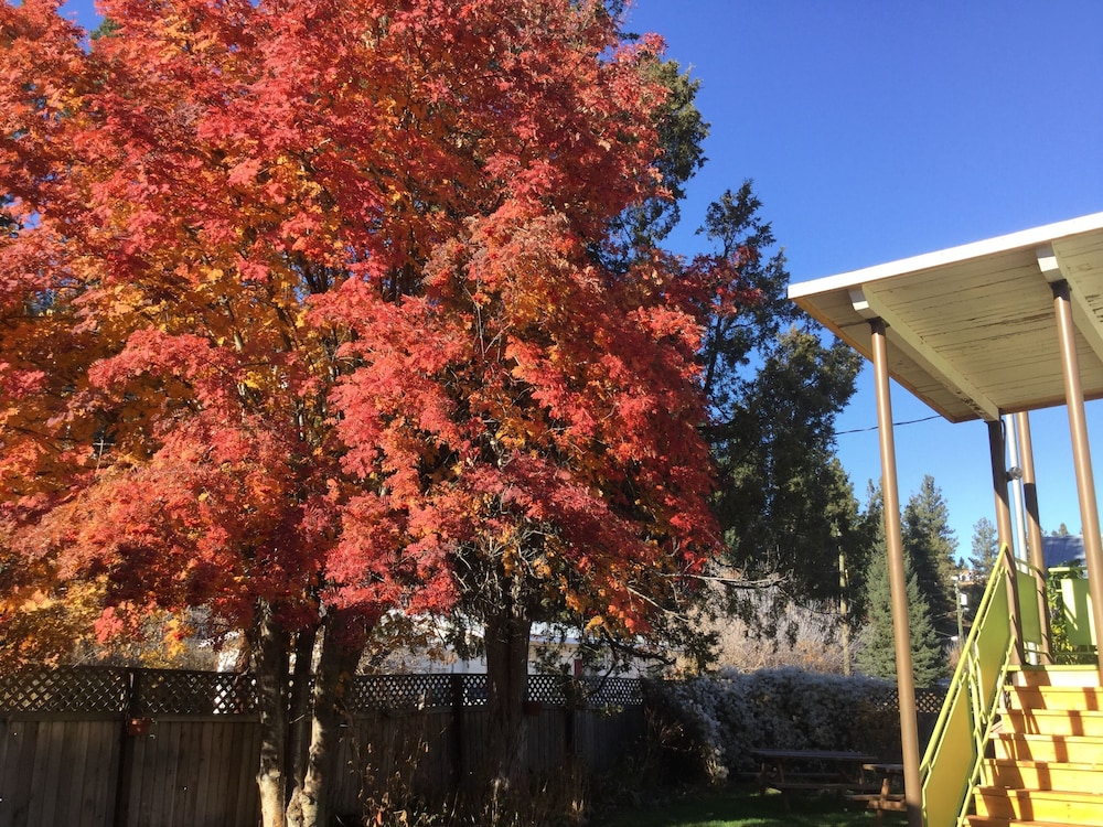 Cedars Motel