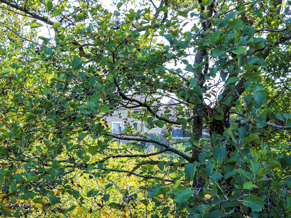 18 Thorngate Wynd