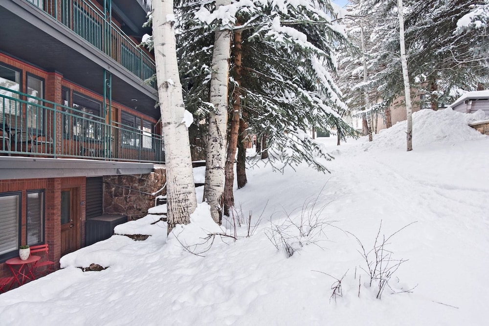 Aspen Mountain Condos by iTrip Aspen Snowmass view 5