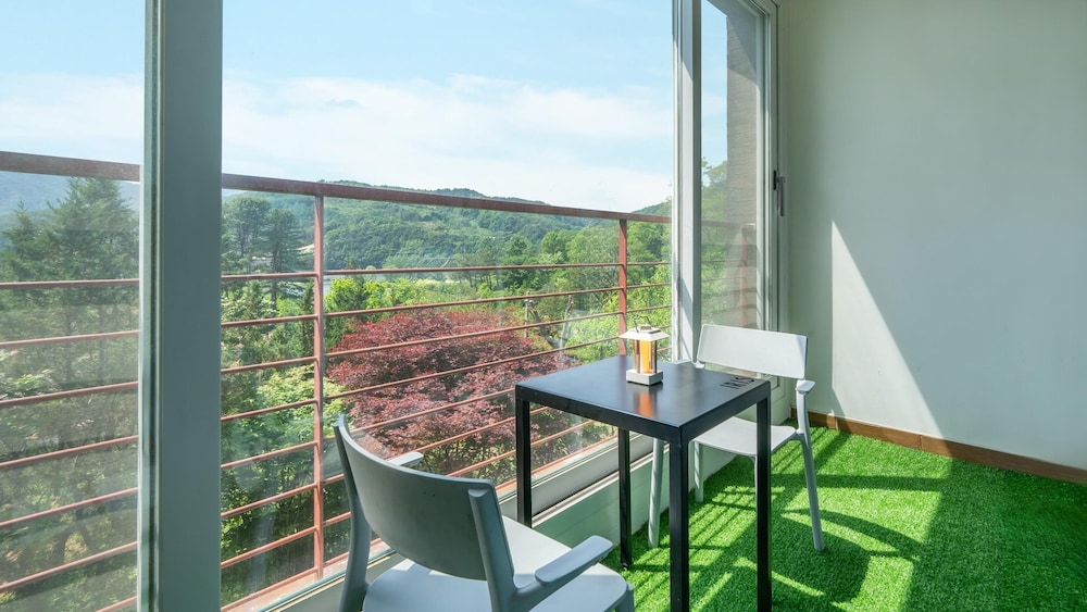 Gapyeong Yeonkkocchosu Pet Pension view 2