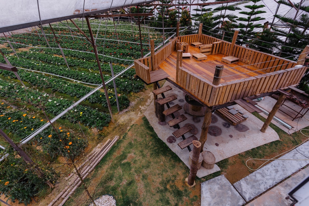 Westwood Highland - Hostel