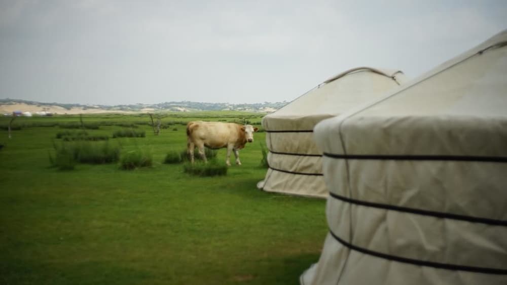 Xanadu yurts