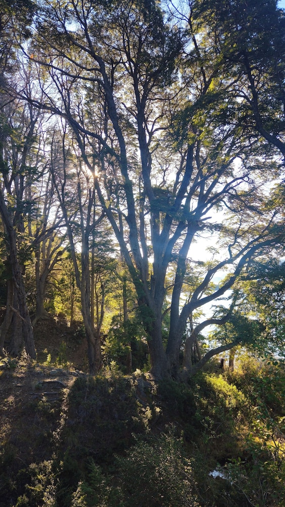 La Morada Lodge & Glamping - Meliquina