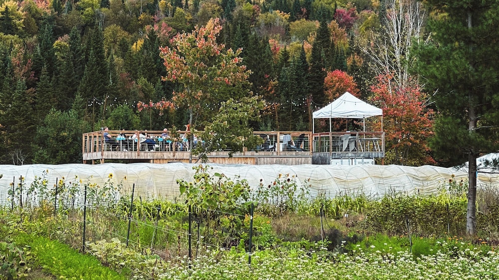 Farouche Tremblant