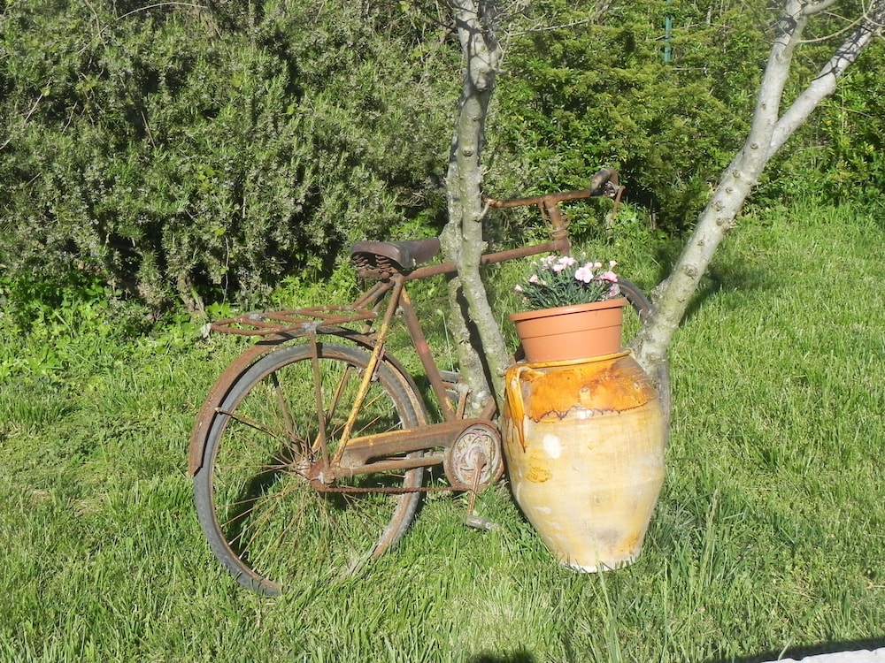 Photo 16