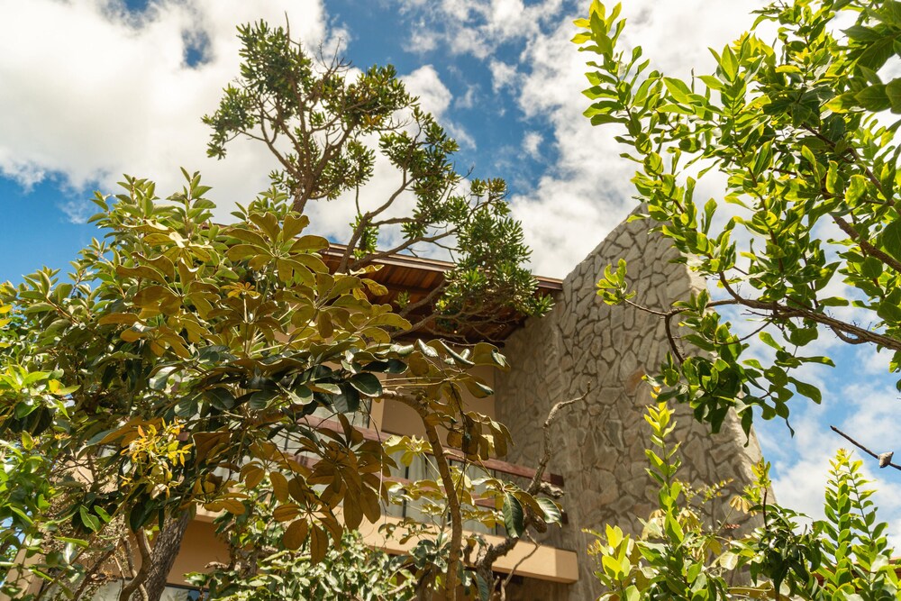 Lofts Lobo Guara