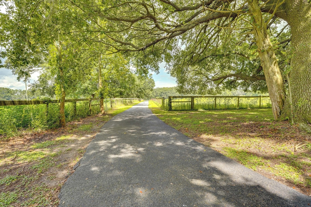 Welcoming Home w/ Yard on 20 Acres in High Springs