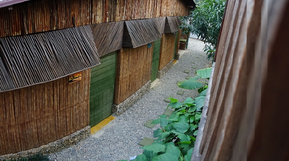 Tribe view 5