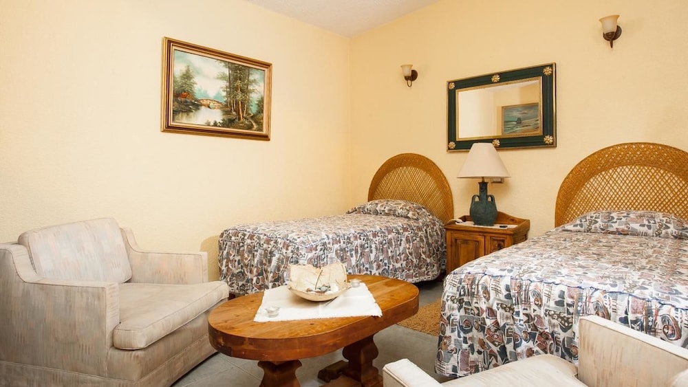 Residencia Jardin Real view 2