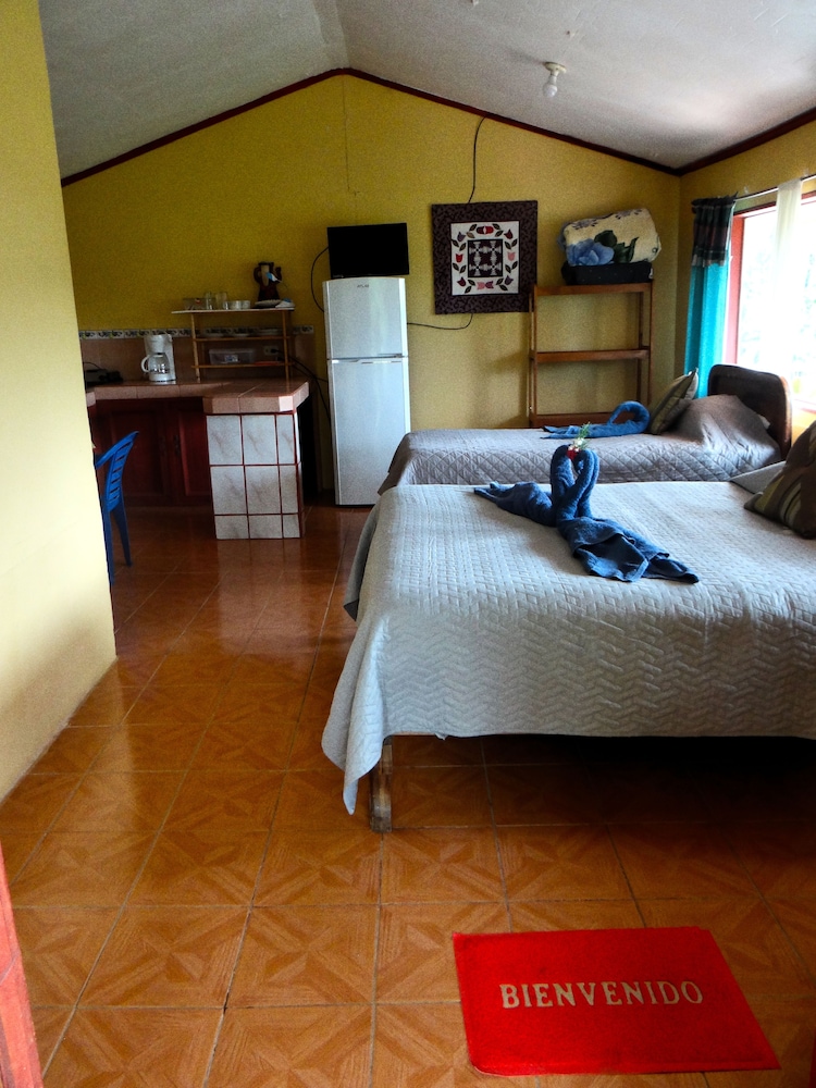 Hummingbird House B&B