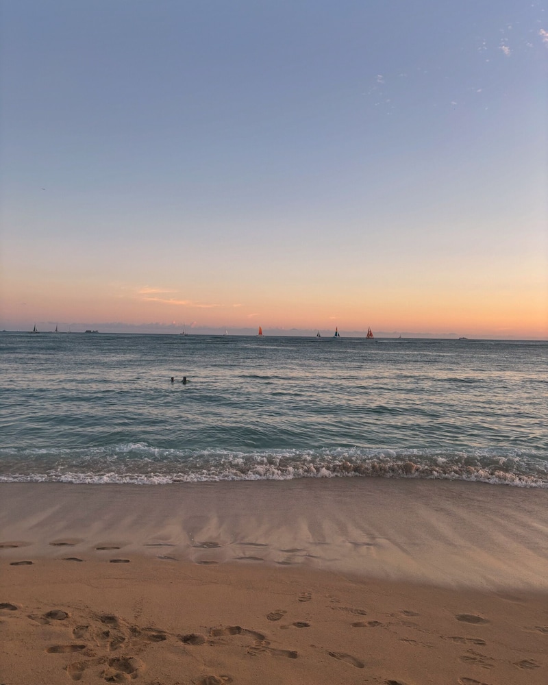 Sip And Sea