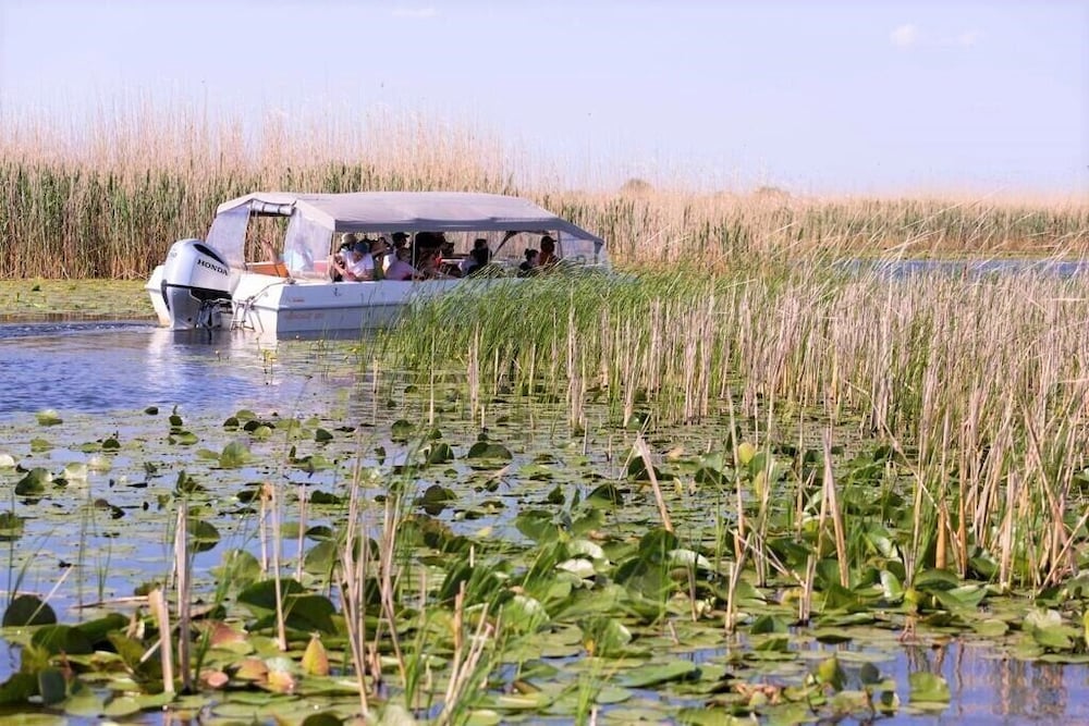 Photo 43