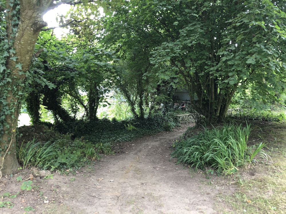 Photo 41
