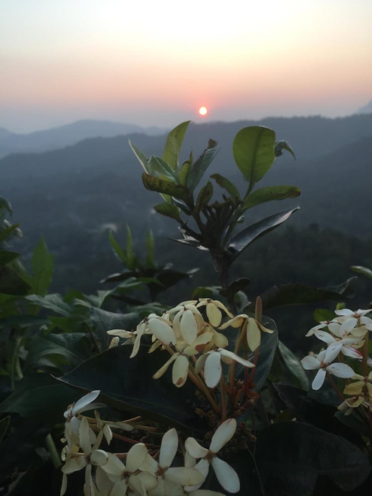 toropi homestay view 4
