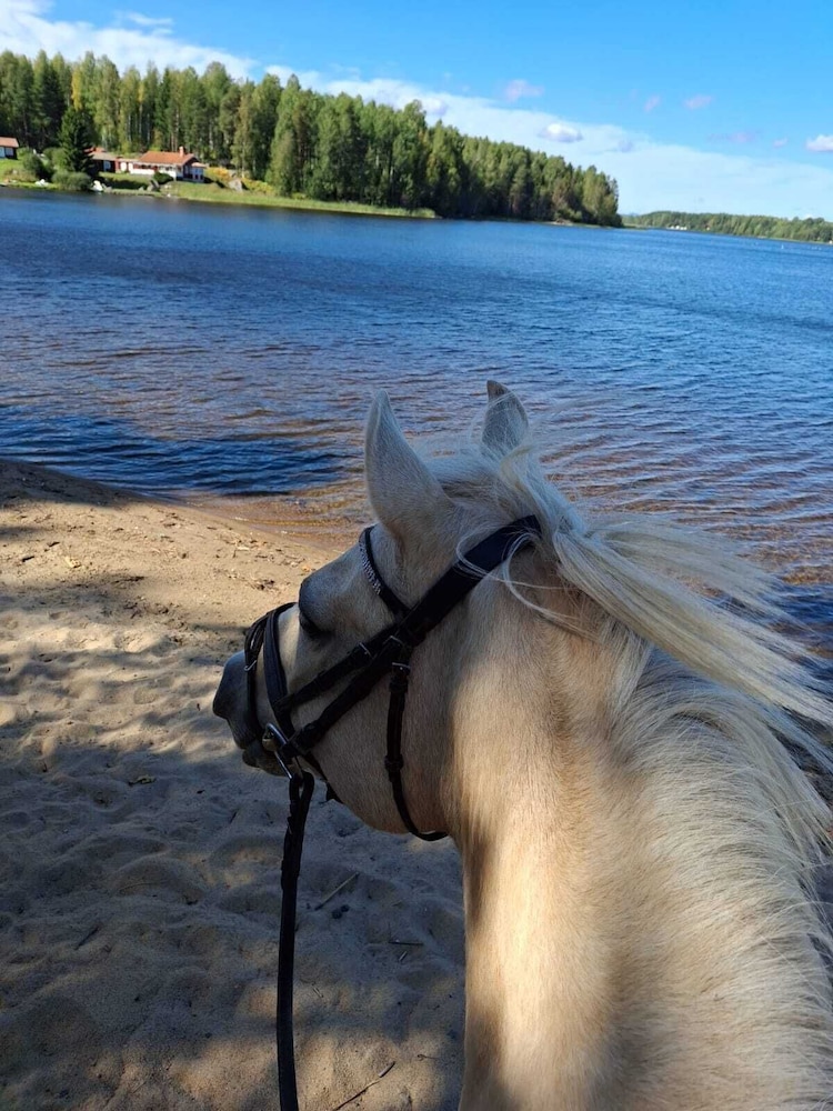 Myskje Gård Äventyr