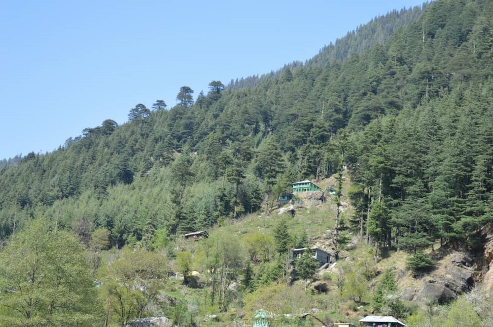Rigzin Nest Cottage Manali