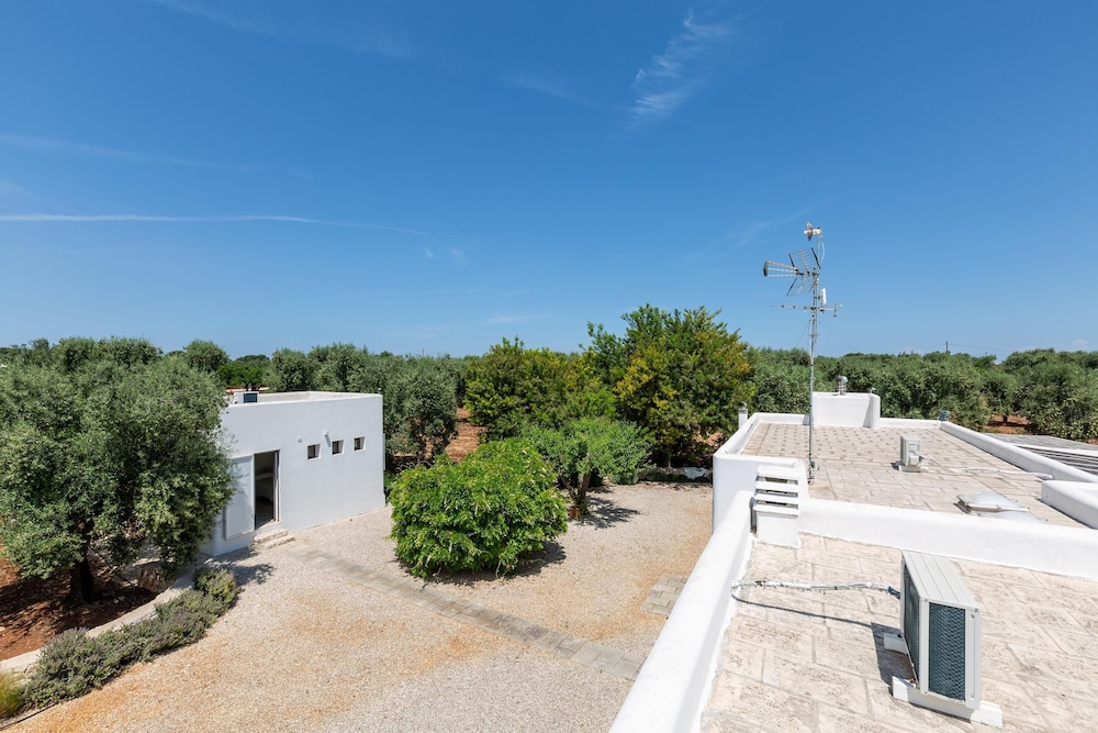 Photo 58