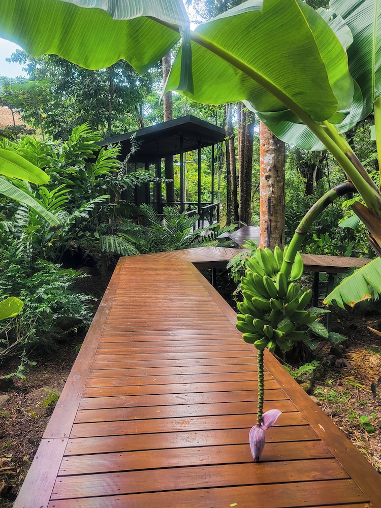 Jungle River Resort - Adults Only