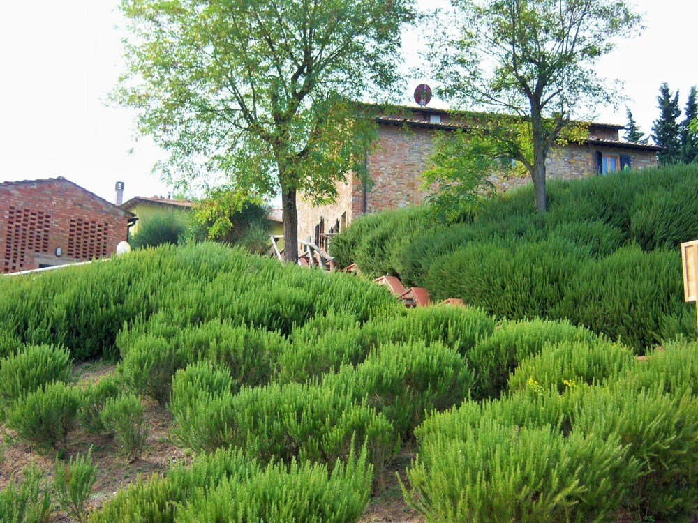 Idyllic Farmhouse in Gambassi Terme-fi With Swimming Pool view 4