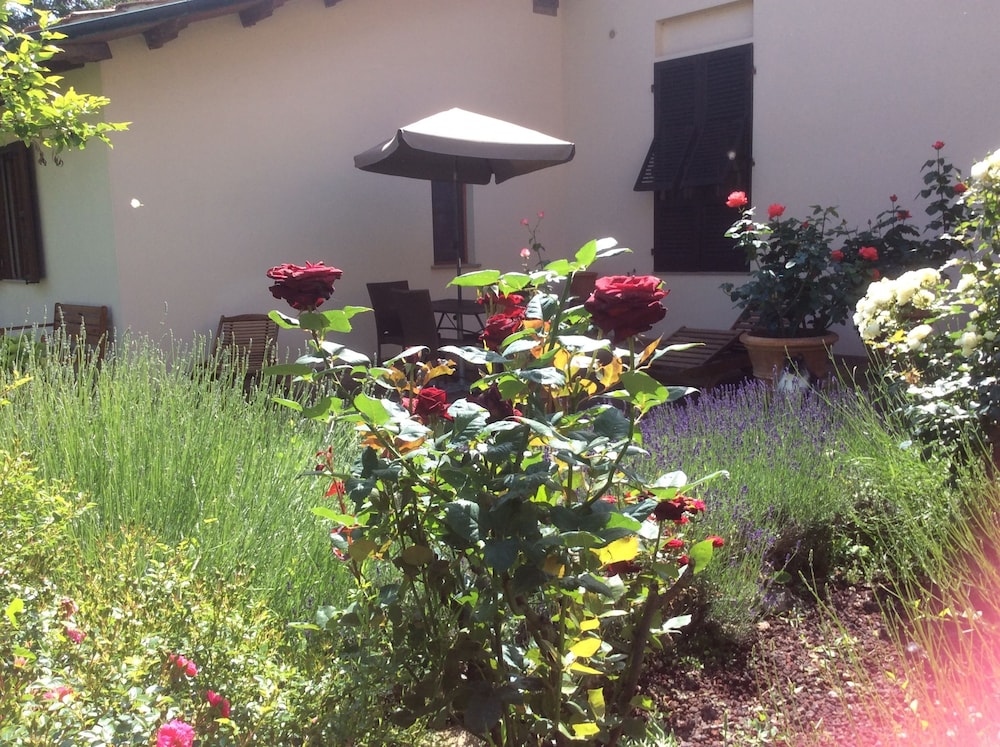 La Primavera B&B, photo 9