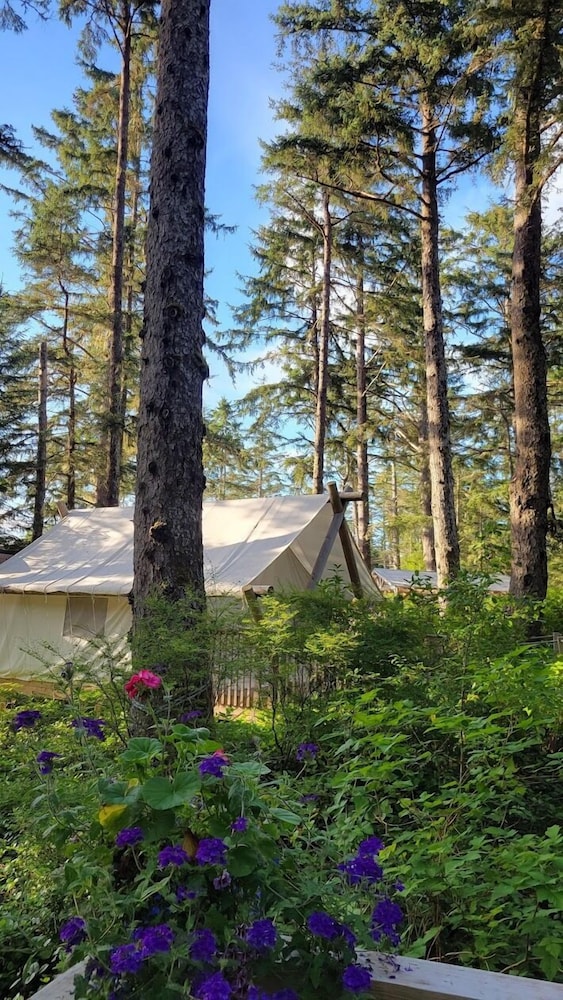 Haida Gwaii Glamping Co.