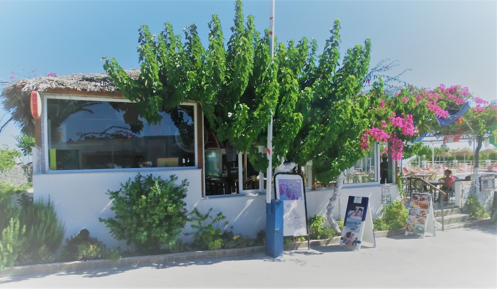 Santorini Camping & Hostel