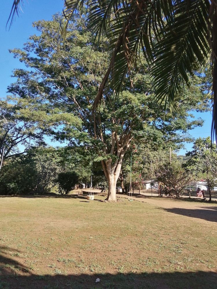 Photo 40
