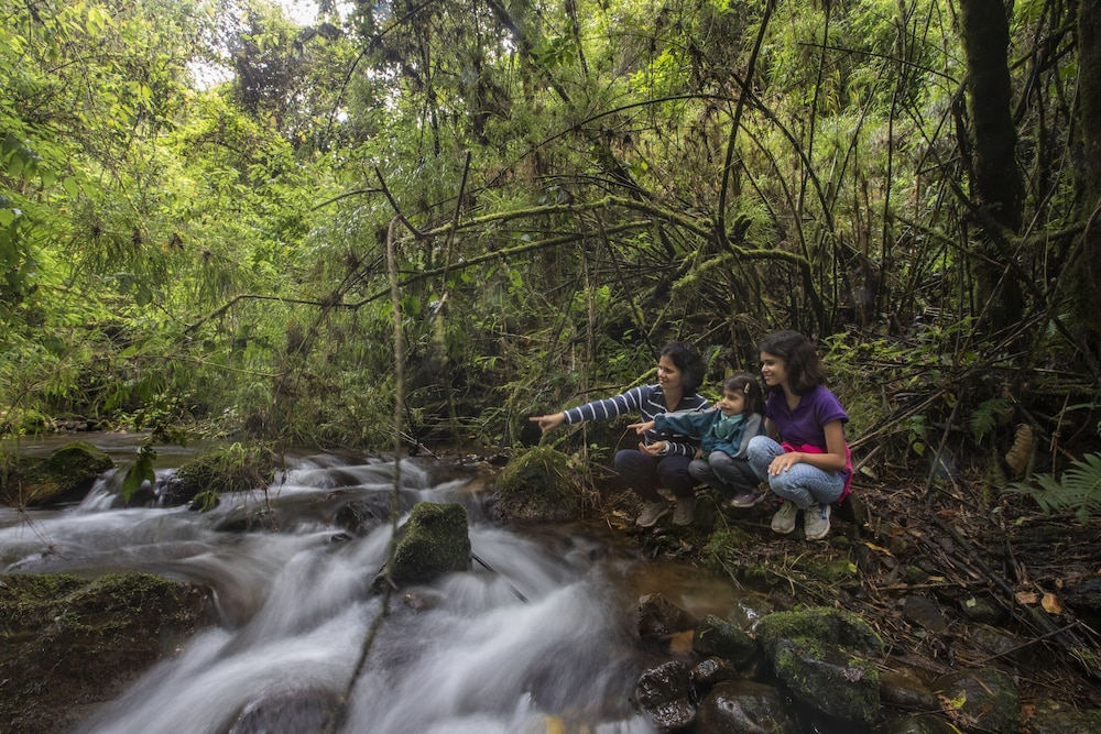 Dantica Cloud Forest Lodge