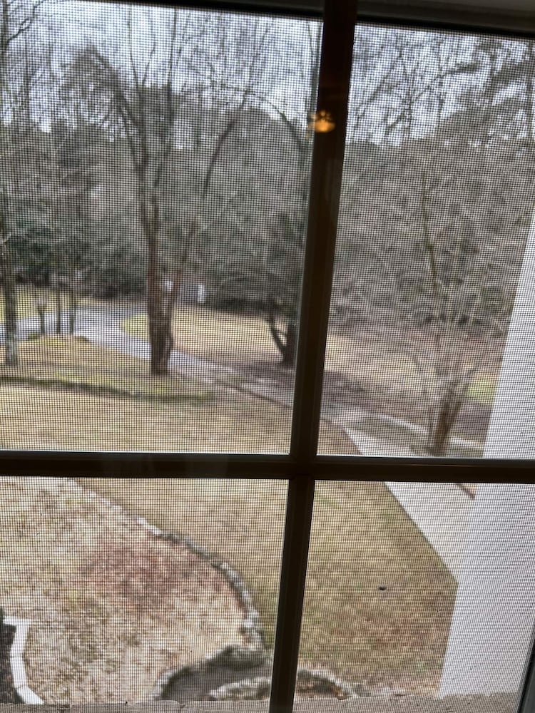 Southern Collective Sleeps8 Airport-beltline