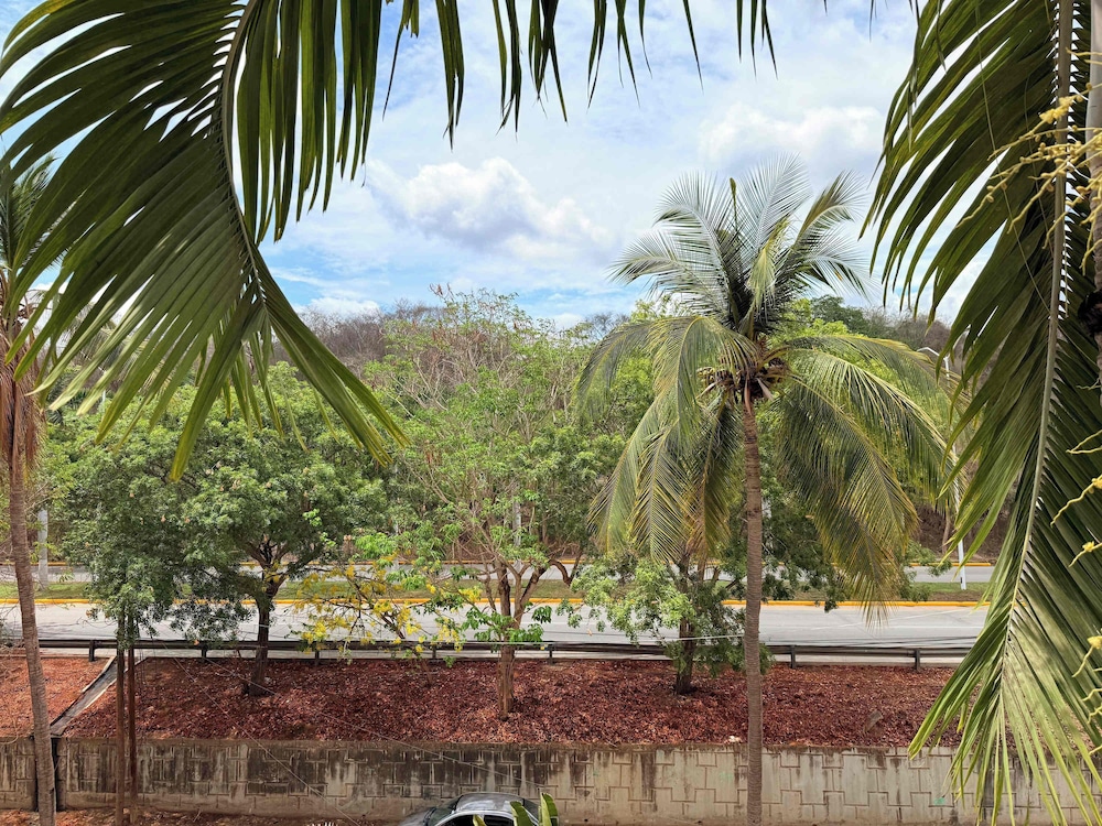 Amoara 301 Bohemian Rooftop