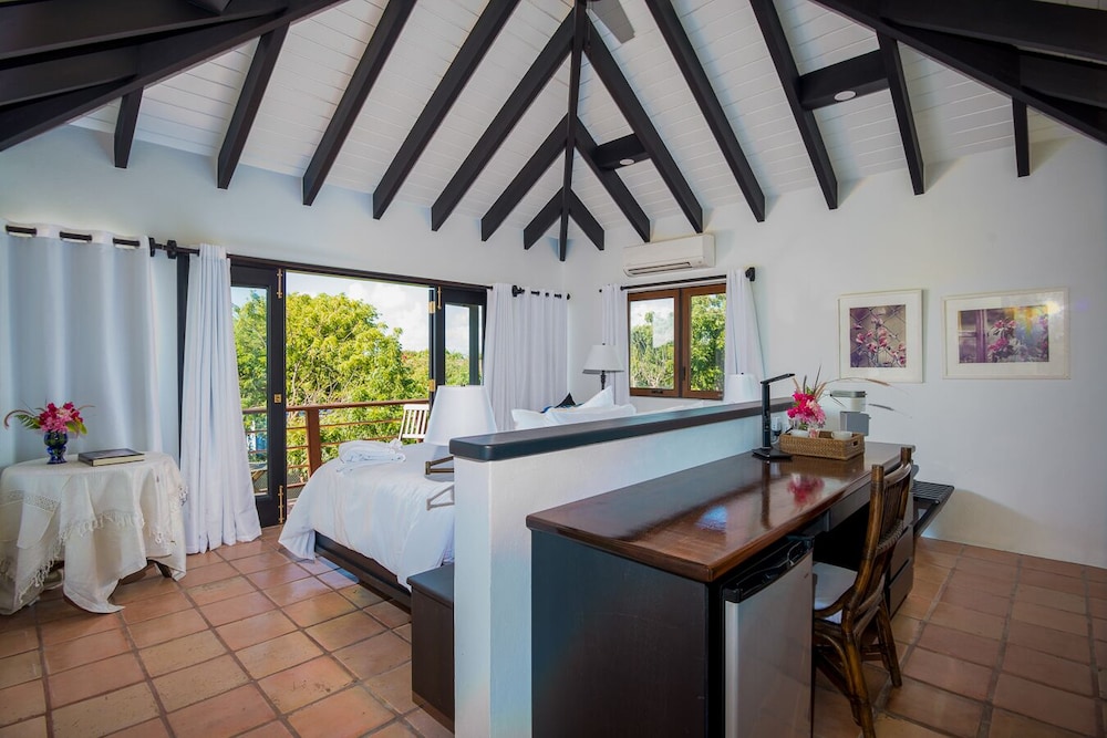 Cornucopia BVI view 5