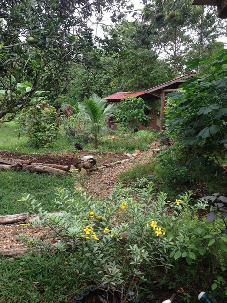 Sattva Land