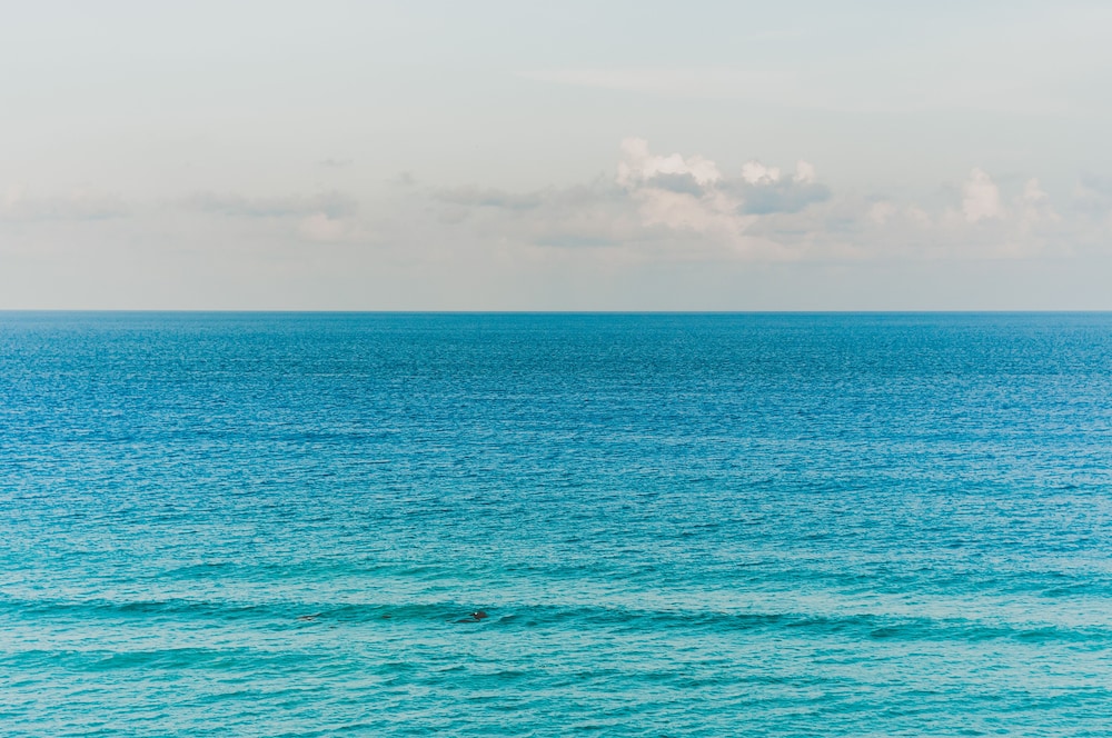 Brisas Beachfront Penthouses