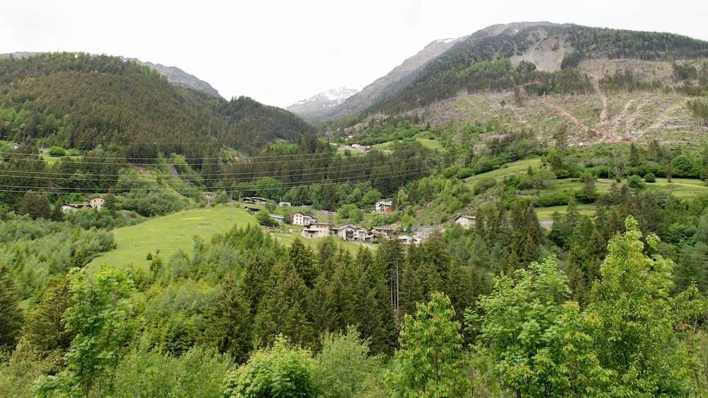 Photo 41